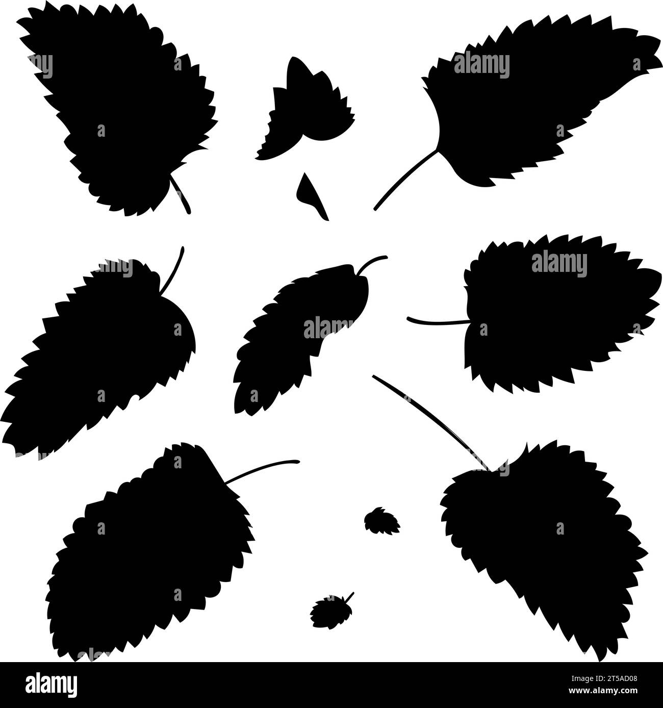 Vektorform frischer Minzblätter. Vektor-Illustration duftender frischer grüner Minzblätter. Bild von Pfefferminzblättern im Vektor. Stock Vektor