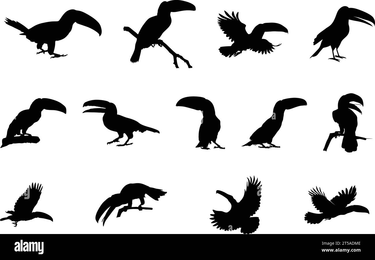 Toucan Silhouetten, Toucan Vogel Silhouette, Flying Tucan Silhouette, Toucan SVG, Toucan toco Clipart Stock Vektor