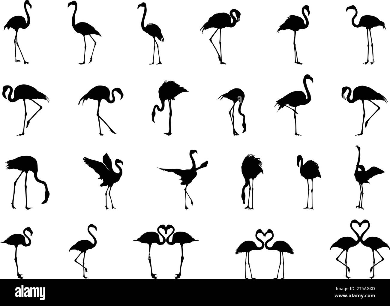 Flamingo Silhouetten, Flamingo Vogel Silhouette, Flamingo svg, Flamingo Vektor Illustration, Flamingo Clipart, Flamingo-Vogel-Symbol Stock Vektor