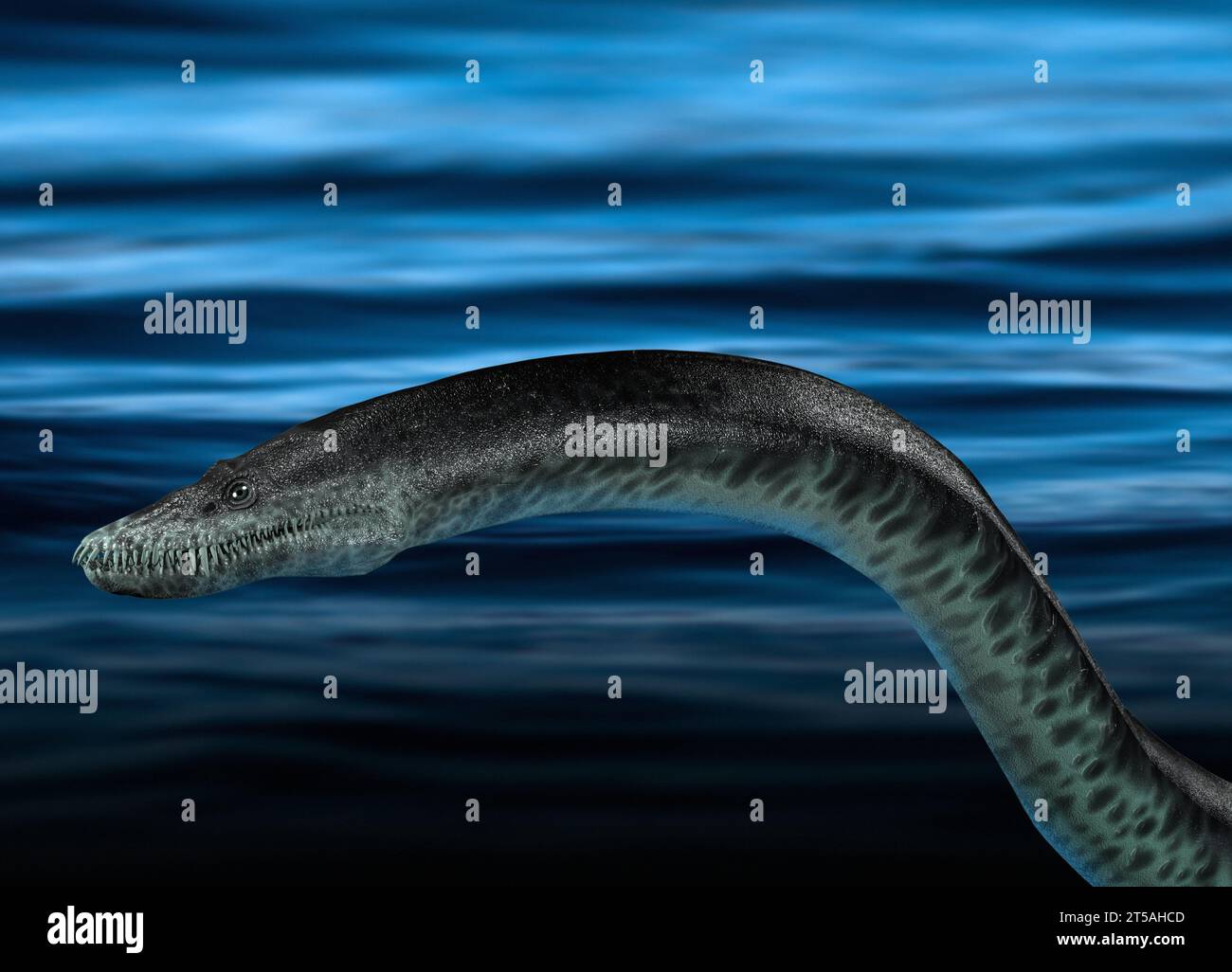 Loch Ness Monster, Illustration Stockfoto