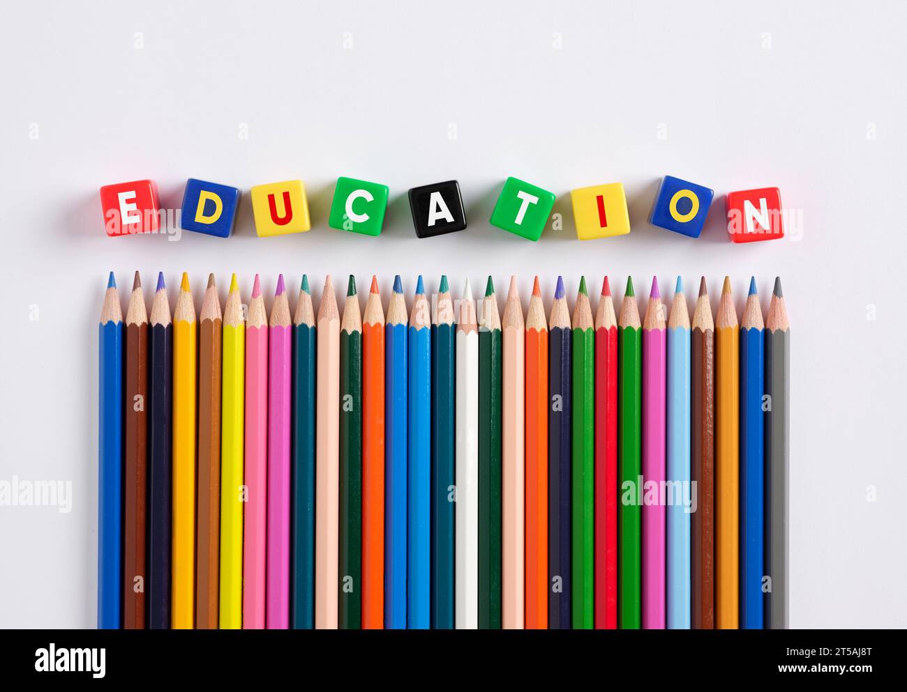 Bildungskonzept. Die Worterziehung auf bunten Würfeln mit Buntstiften. Stockfoto