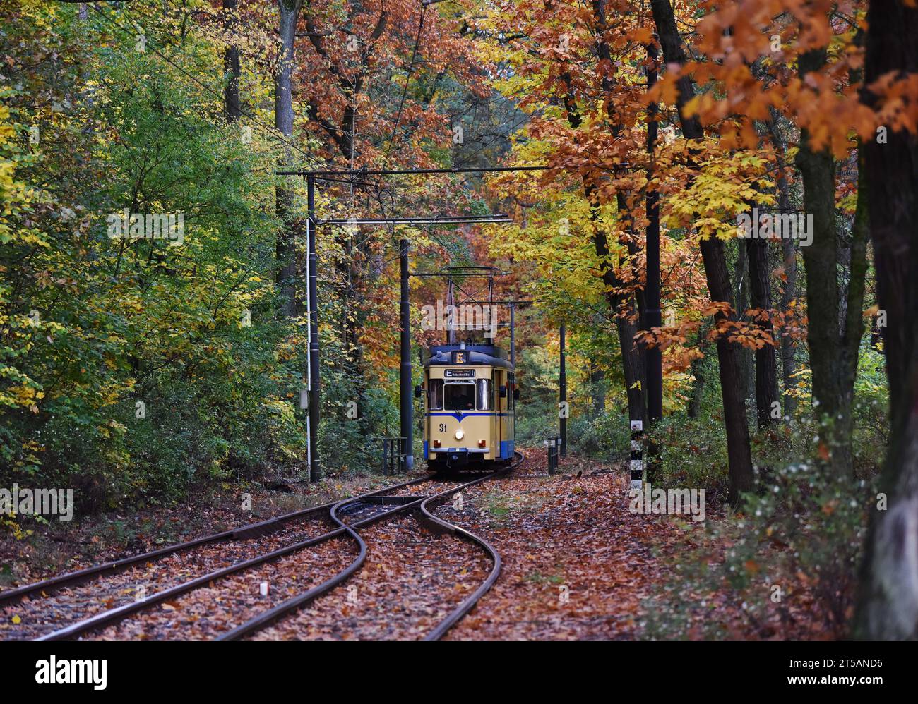 Berlin, Deutschland. November 2023. Am 3. November 2023 verkehrt ein Zug zwischen Herbstlaub im Vorort Berlin. Quelle: Ren Pengfei/Xinhua/Alamy Live News Stockfoto