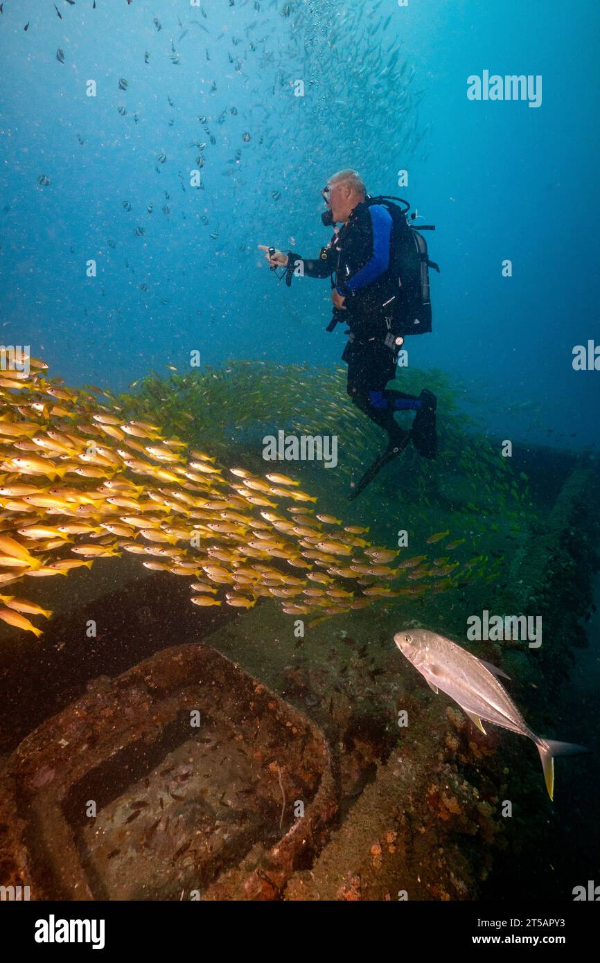 Tauchen im Indischen Ozean Nosy Be Madagaskar Stockfoto