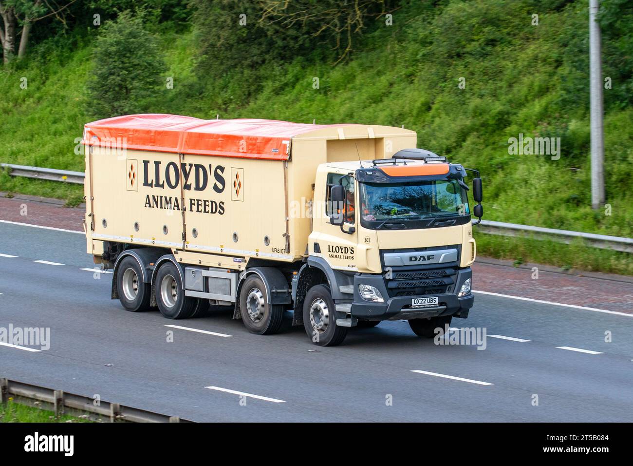 LLOYD's Animal Feeds, Food and Beverage Manufacturing. DAF-Lkw, Anbieter von Lagenfutter und Nutzfahrzeugen Stockfoto