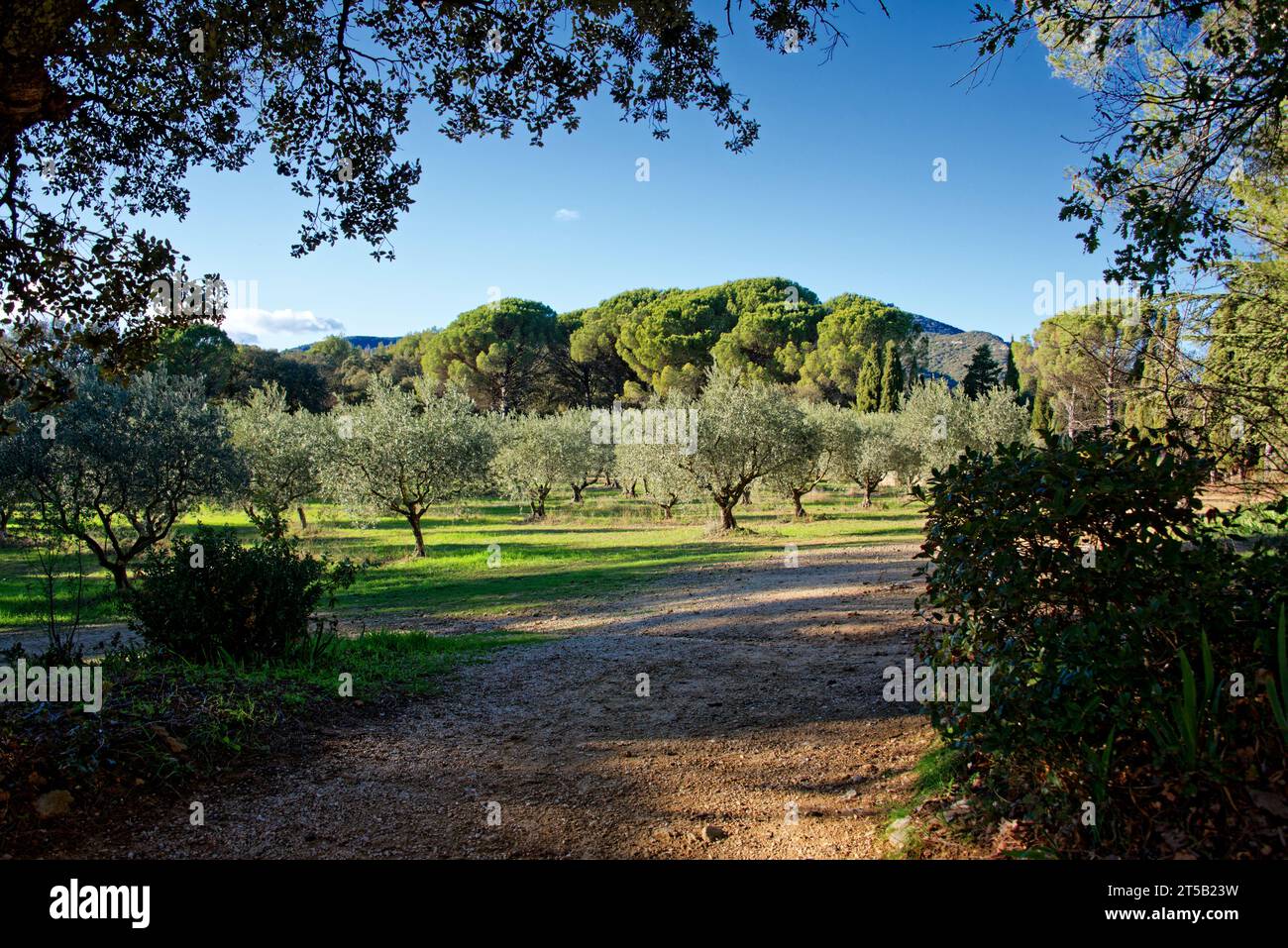 Dorf Lourmarin in der Landschaft von Luberon, Region Vaucluse Provence, Frankreich Stockfoto