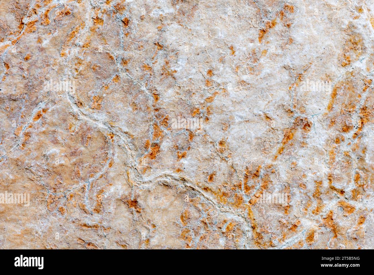 Farben, Texturen und Muster auf einem Naturstein. Steinhintergrund. Stockfoto