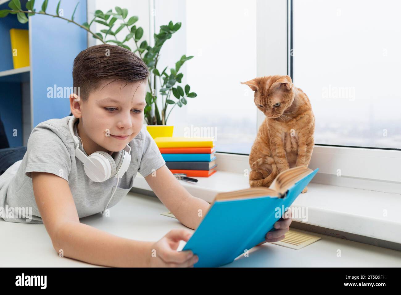 Junge mit Katze Vorlesungszeit Stockfoto