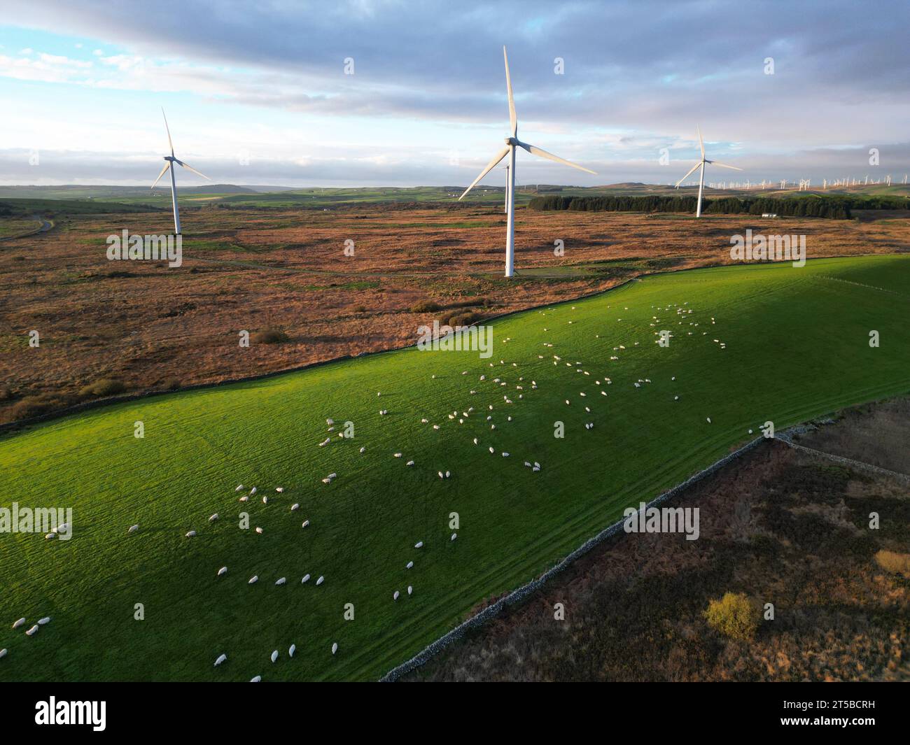 Windkraftanlagen von Barlockhart Moor nahe Glenluce in Wigtownshire Schottland aus der Vogelperspektive vom November 2023 Stockfoto