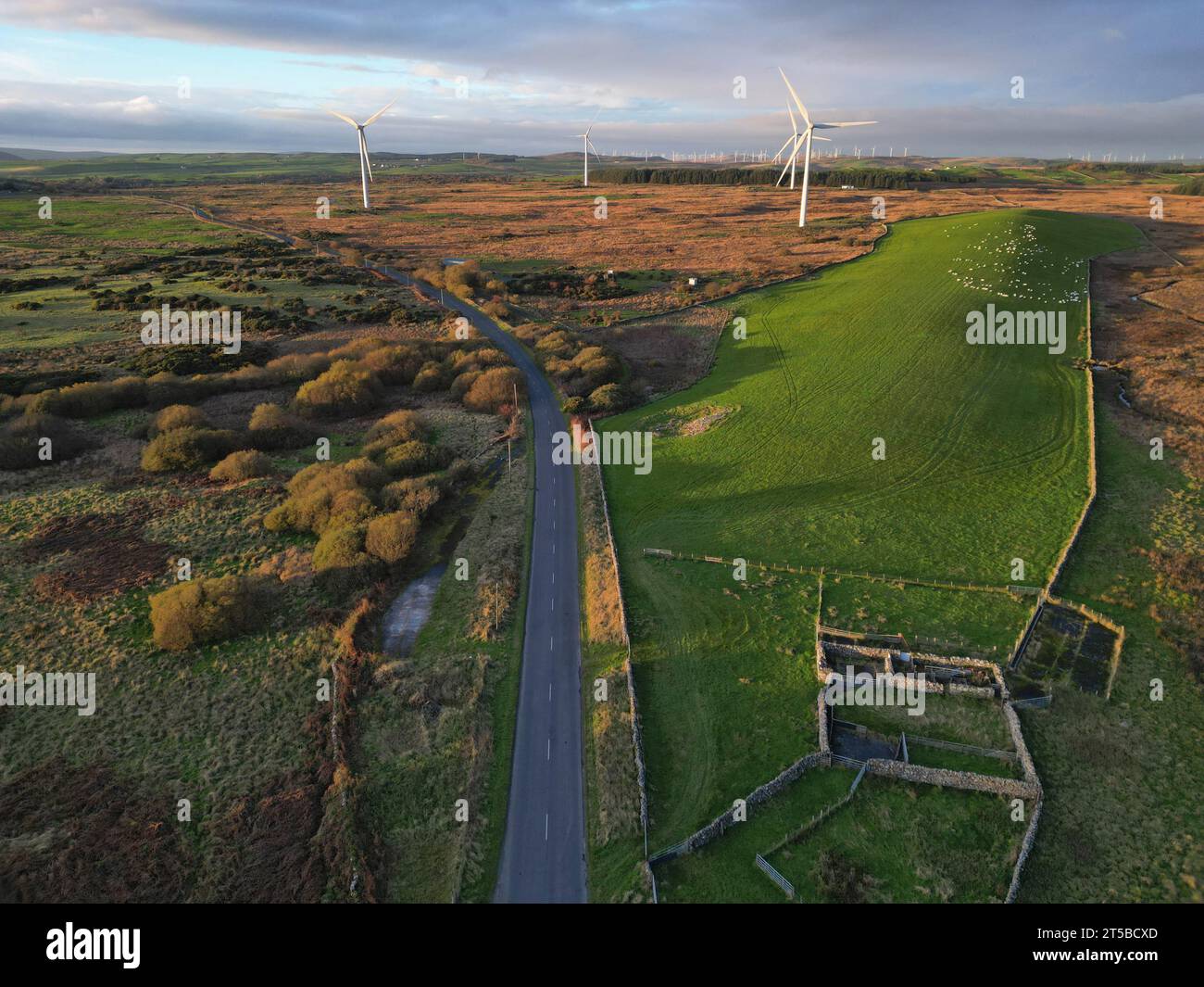Windkraftanlagen von Barlockhart Moor nahe Glenluce in Wigtownshire Schottland aus der Vogelperspektive vom November 2023 Stockfoto