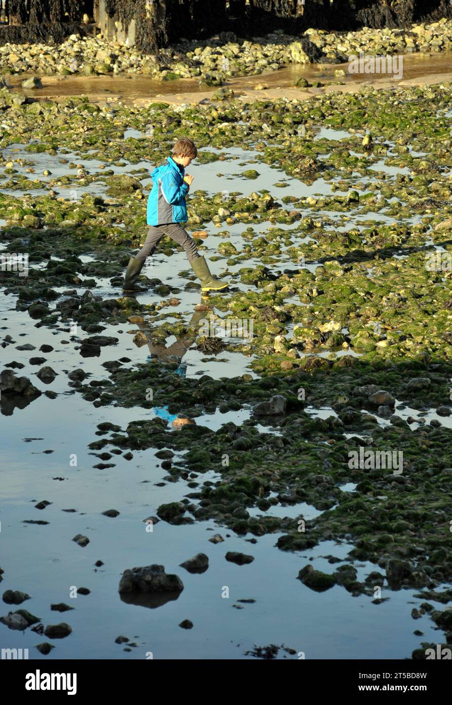 Junge, der über nasse Felsen bei Ebbe im Westen von runton norfolk england läuft Stockfoto