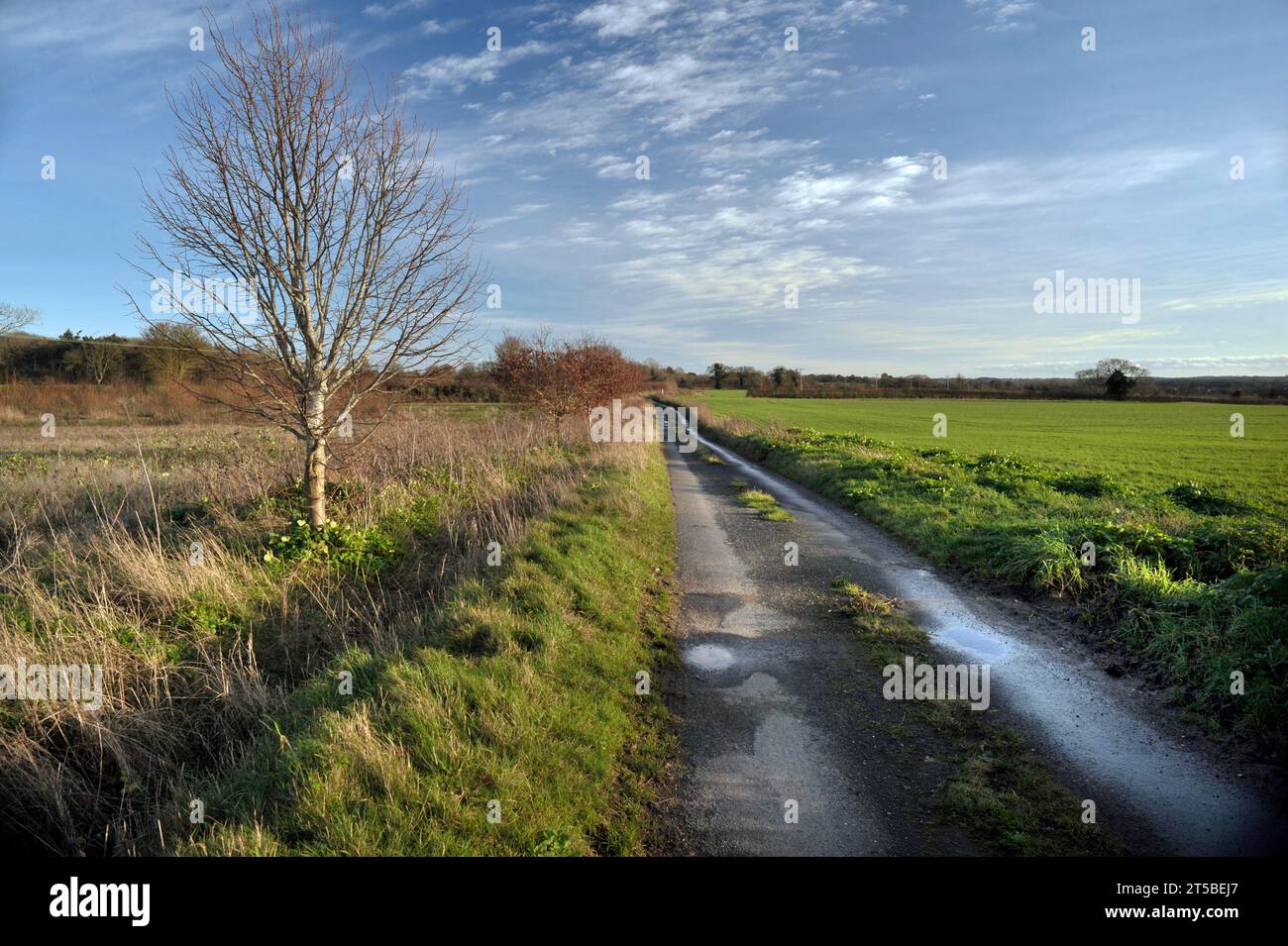 Niedrige Wintersonne über Winterlandschaft rund um die kleine ländliche Landstraße broome norfolk england Stockfoto