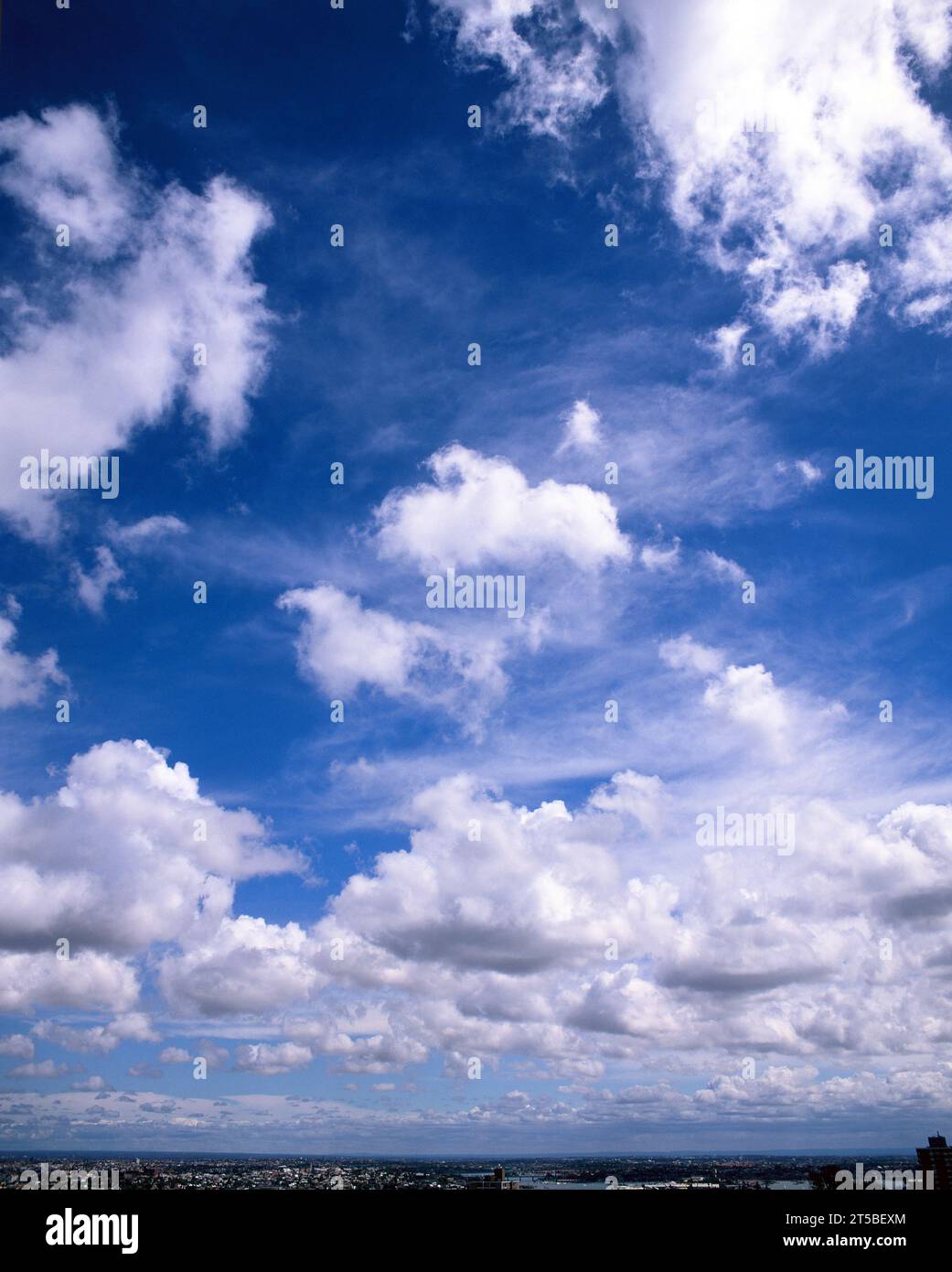 Blauer Himmel mit Kumuluswolken über den westlichen Vororten von Sydney, Australien. Stockfoto