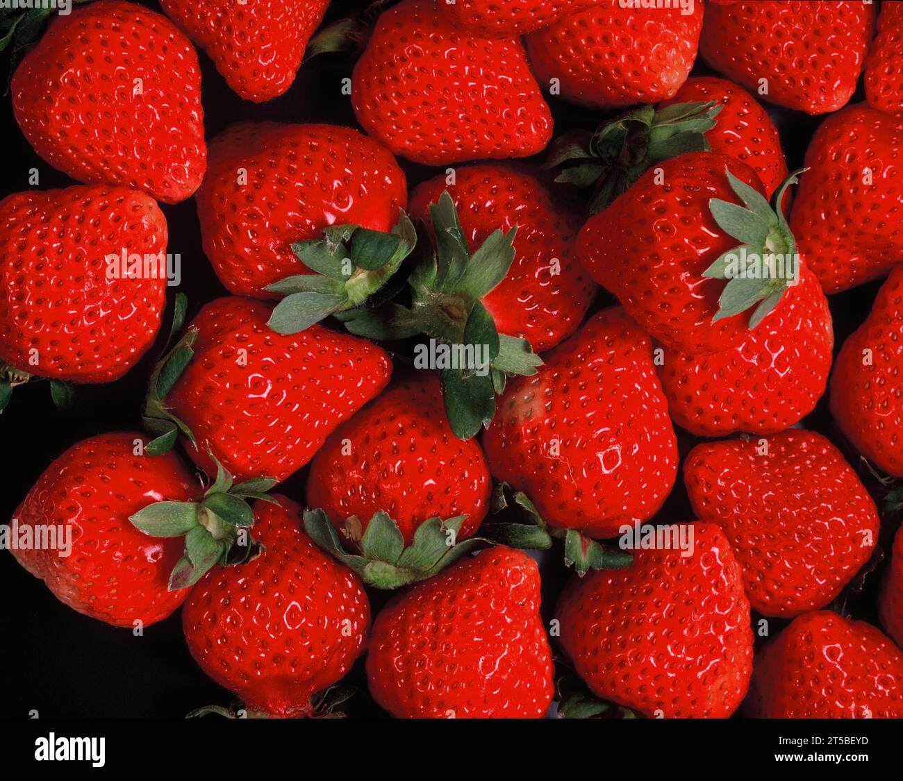 Stillleben. Nahaufnahme von Lebensmitteln. Frische Erdbeeren. Stockfoto