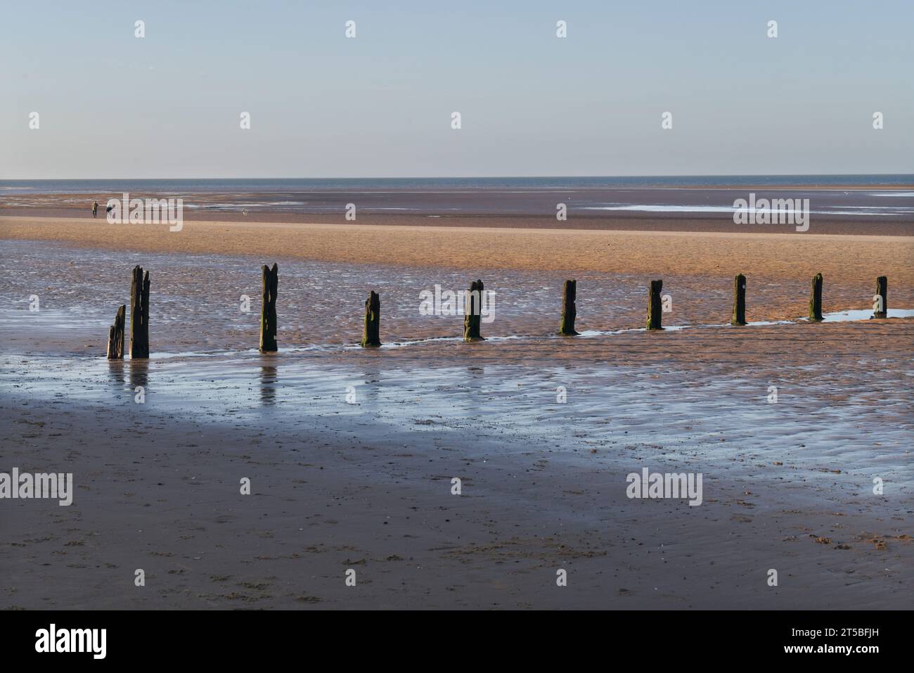 Verrottete Küchchen und ferne Paare mit Hunden am brancaster Beach im Norden norfolk england bei Ebbe Stockfoto