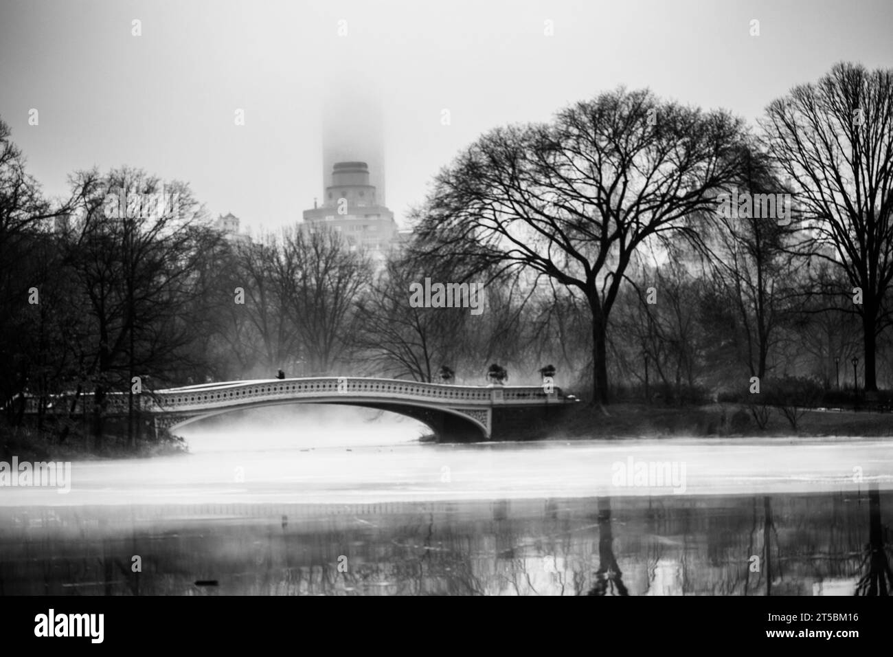 Ein hochwertiges Stockfoto der bezaubernden Bow Bridge, eines der berühmtesten Wahrzeichen des Central Parks. Das Foto zeigt das elegante Gusseisen der Brücke Stockfoto