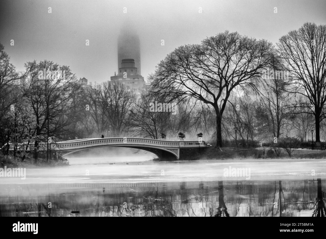 Ein hochwertiges Stockfoto der bezaubernden Bow Bridge, eines der berühmtesten Wahrzeichen des Central Parks. Das Foto zeigt das elegante Gusseisen der Brücke Stockfoto