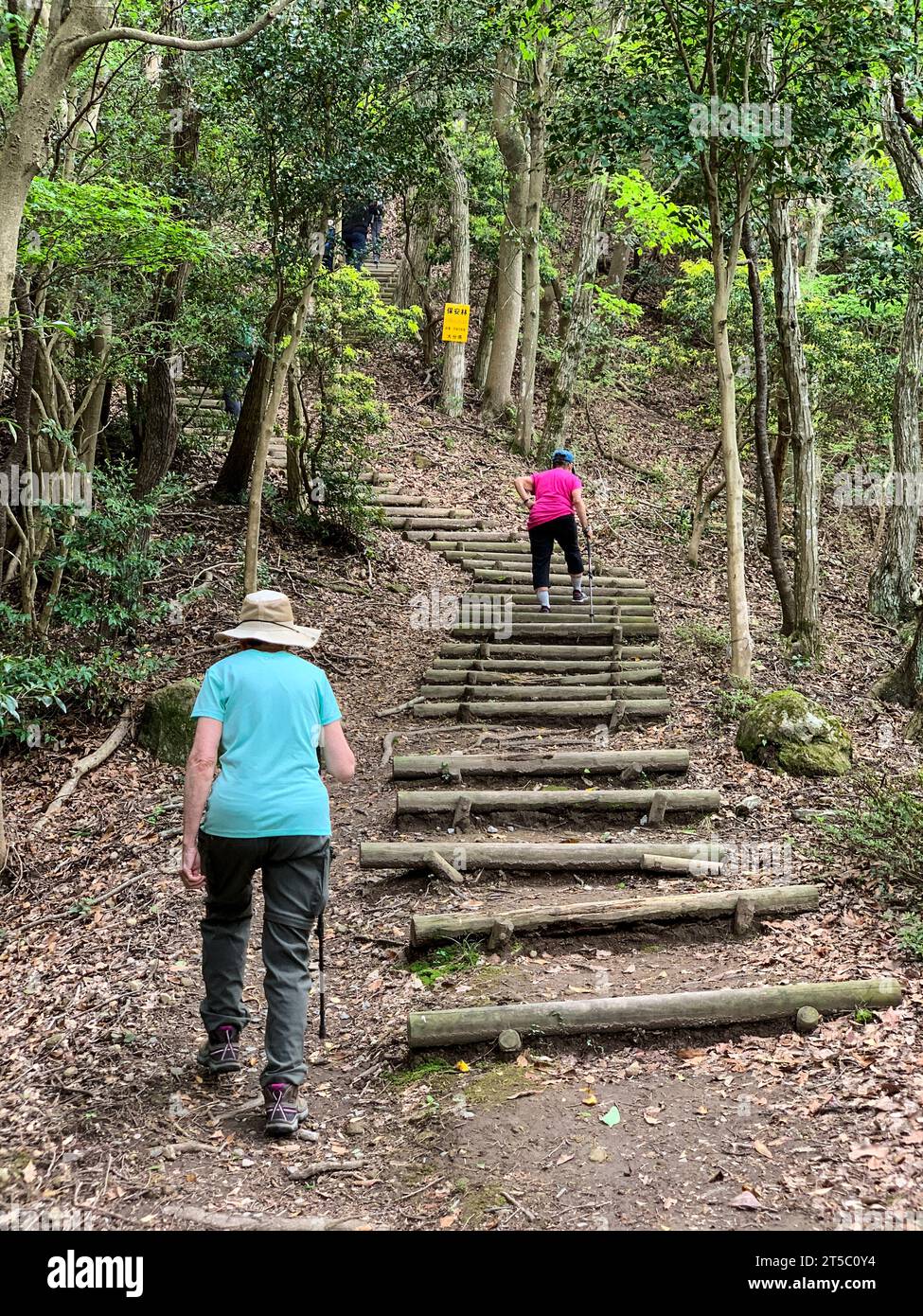 Japan, Kyushu. Weg zum Itsutsu-JI-Tempel. Kunisaki Halbinsel, Präfektur Oita. Stockfoto