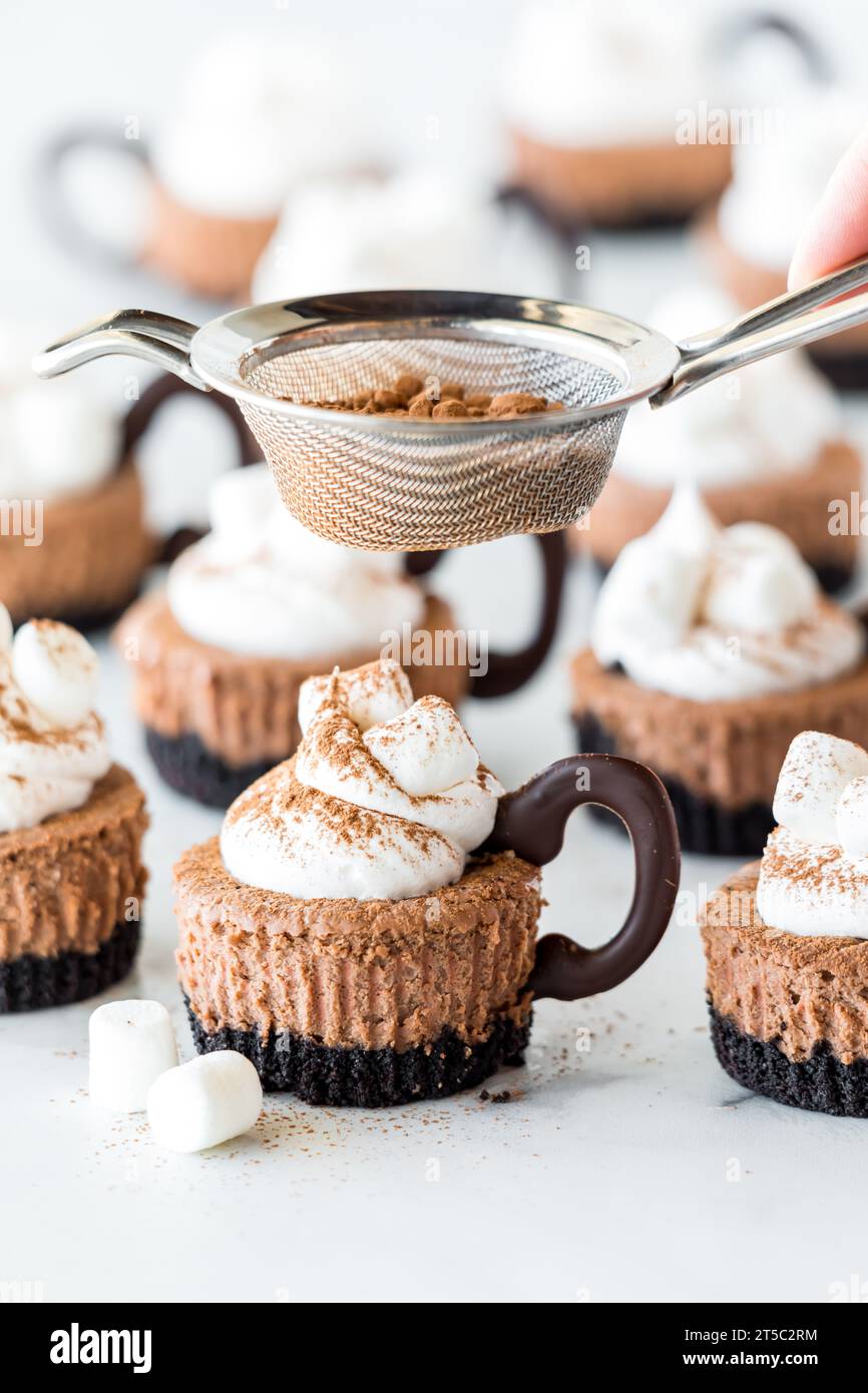 Heiße Kakao Mini Käsekuchen werden mit Kakaopulver bestäubt. Stockfoto