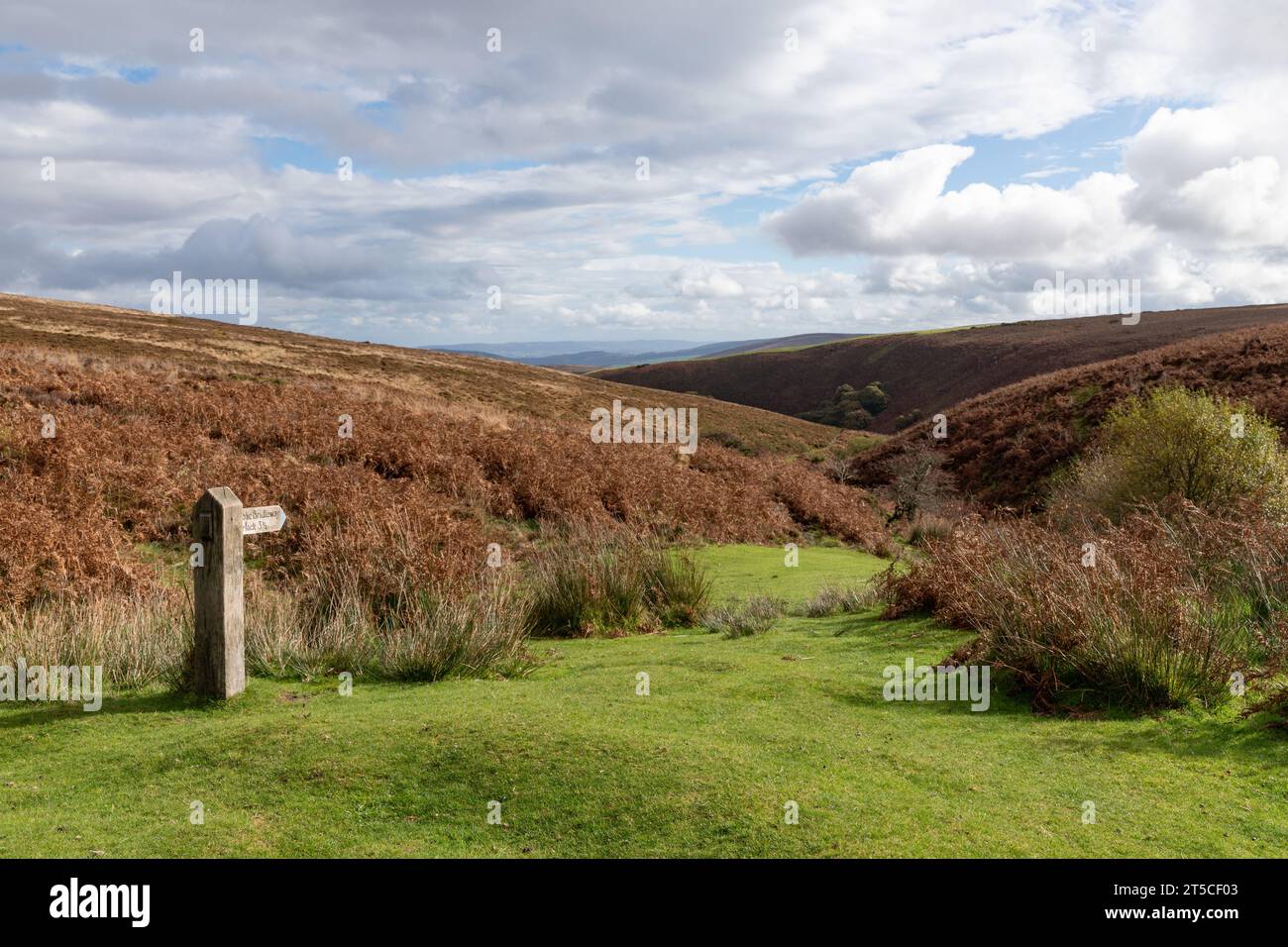 Bridleway nach Porlock vor Exmoor Stockfoto