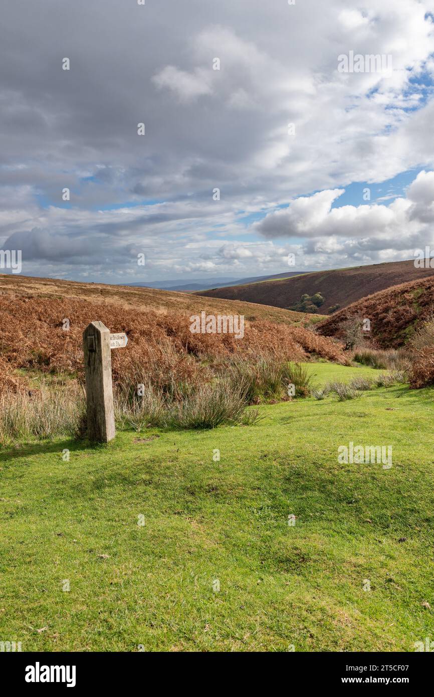 Bridleway nach Porlock vor Exmoor Stockfoto