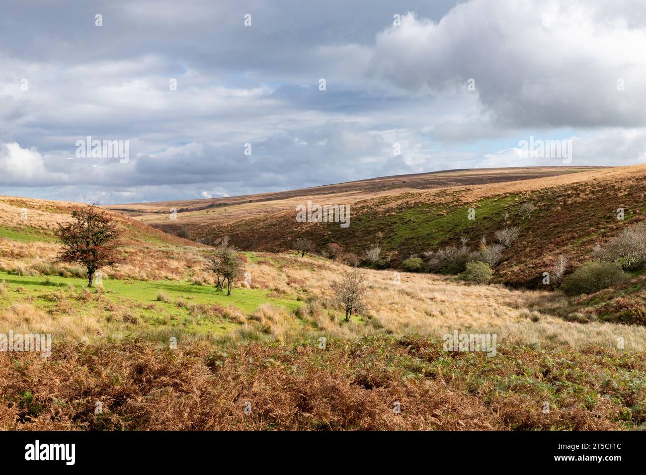 Eine Moorlandschaft im Exmoor-Nationalpark Stockfoto