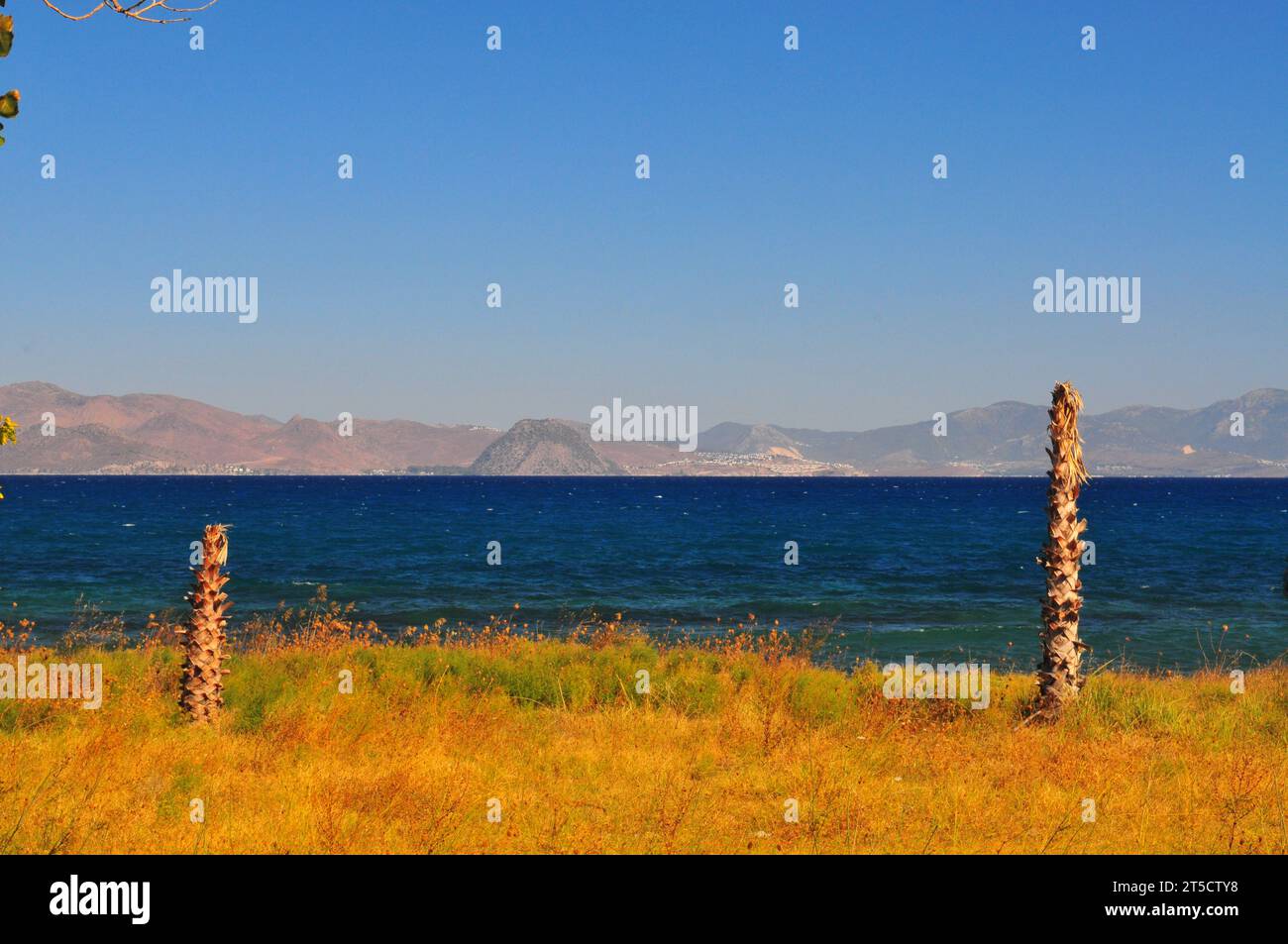 Land und Meereslandschaft von der Insel Kos in Richtung Türkei mit zwei Palmenstämmen. Stockfoto
