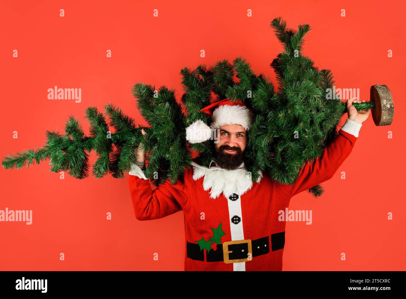 Frohe Weihnachten. Frohes Neues Jahr. Bärtiger Mann im Weihnachtsmann-Kostüm mit Weihnachtsbaum. Liefermann mit Weihnachtsmütze mit Tannenbaum. Neujahrsfeier Stockfoto