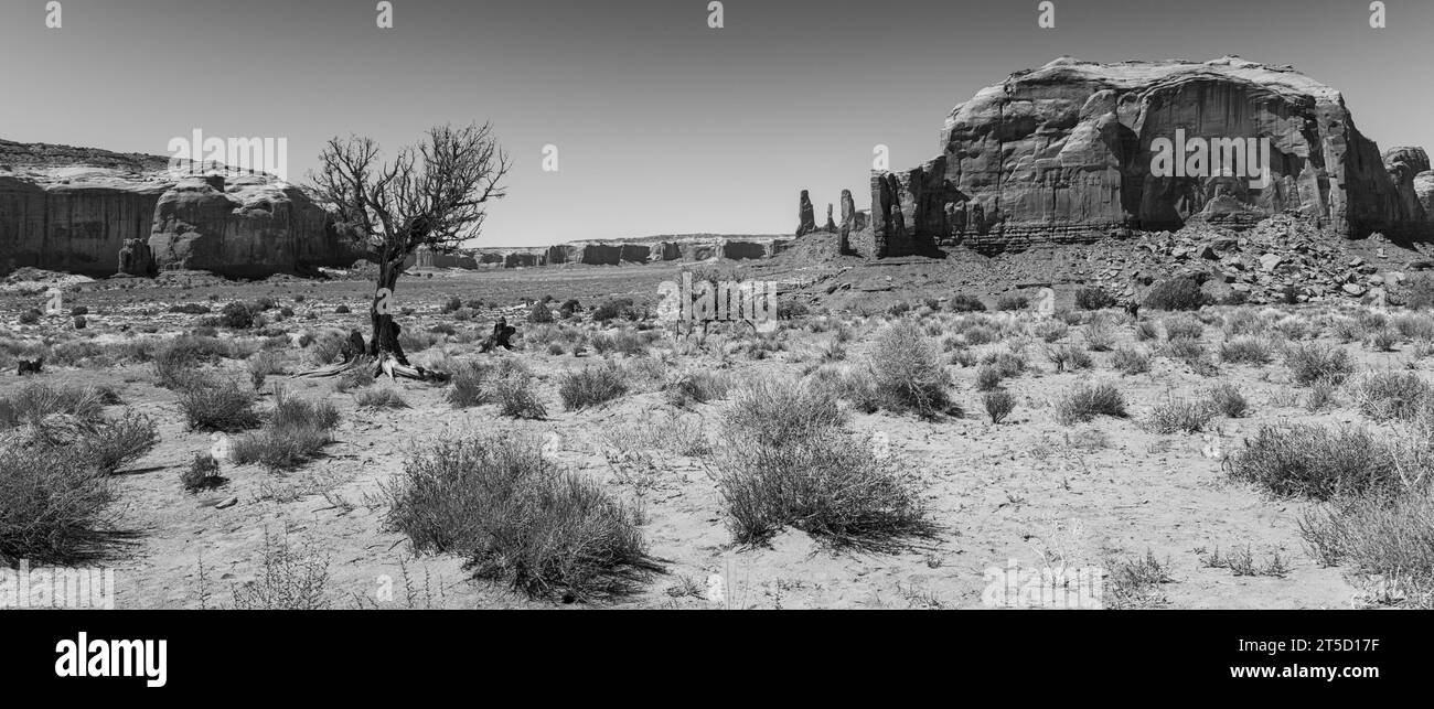 Monument Valley, Wüste und Landschaft (Arizona) Stockfoto