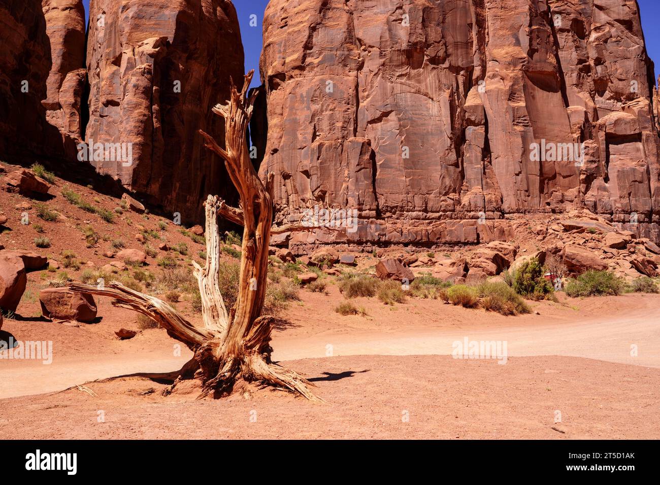 Monument Valley, Wüste und Landschaft (Arizona) Stockfoto