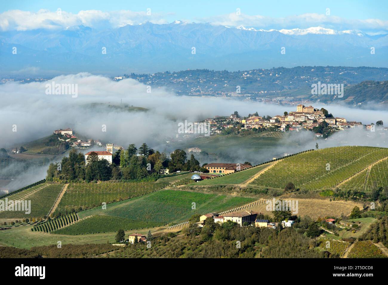 Herbstlicher Nebel umgibt das Dorf Roddi in der hügeligen Landschaft des Weinanbaugebiets Langhe, Diano d'Alba, Piemont, Italien Stockfoto