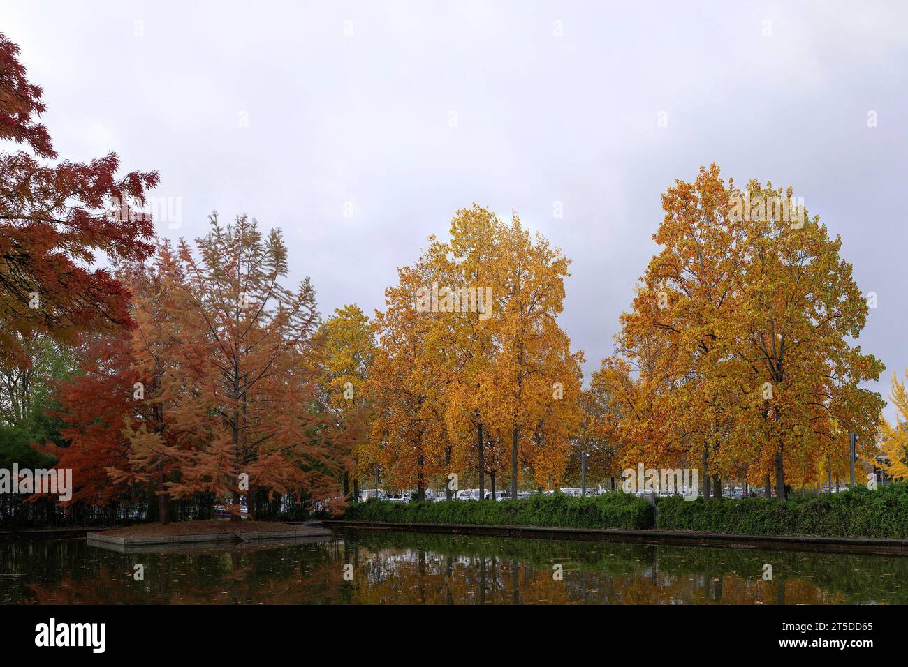 Bäume mit Herbstfarben im Wassergarten der Nancy unter grauem Himmel Stockfoto