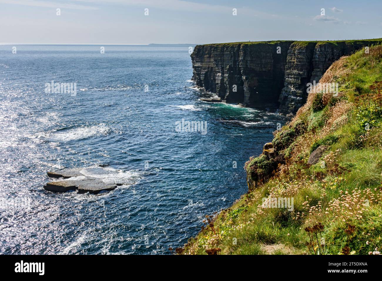 Skirza Head Klippen, aus dem Norden. Auf dem John o'Groats Trail, Caithness, Schottland, Großbritannien, Stockfoto