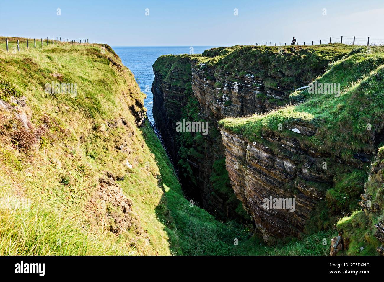 Long Geo auf Skirza Head. Auf dem John o'Groats Trail, Caithness, Schottland, Großbritannien, Stockfoto
