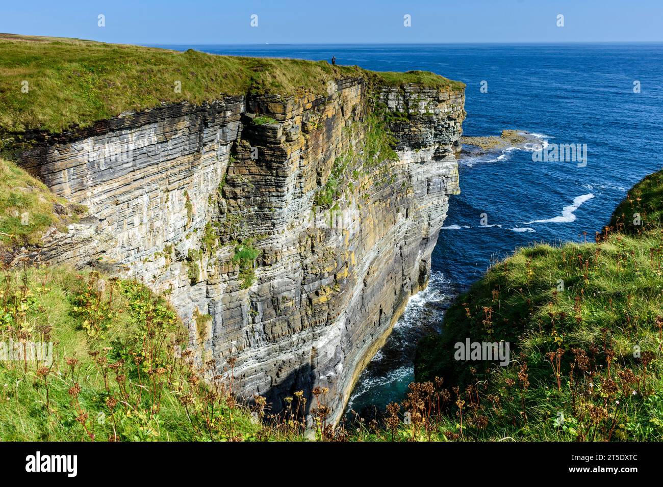 Klippenlandschaft zwischen Skirza Head und Duncansby Head. Auf dem John o'Groats Trail, Caithness, Schottland, Großbritannien, Stockfoto