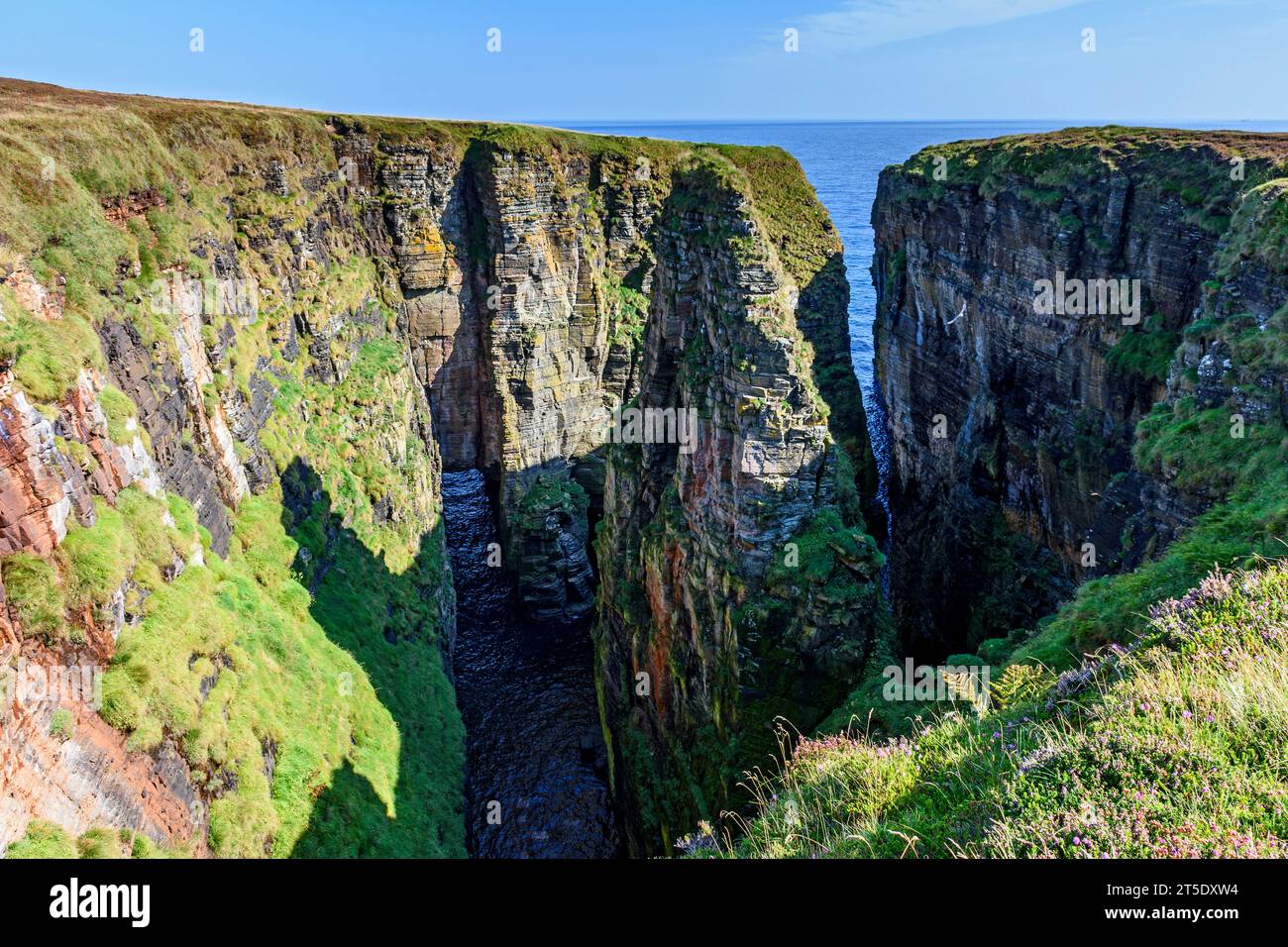Frau Geo, nördlich von Skirza Head, am John o'Groats Trail, Caithness, Schottland, Großbritannien, Stockfoto