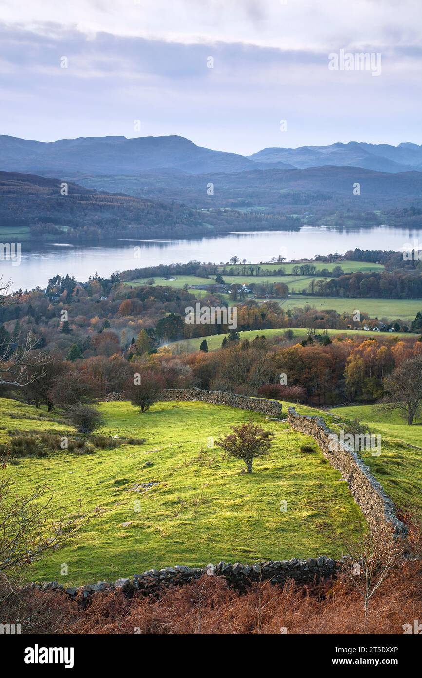 Lake District auf dem Land. Herbstliche Landschaft mit Lake Windermere aus Orrest Head, Cumbria, Großbritannien Stockfoto