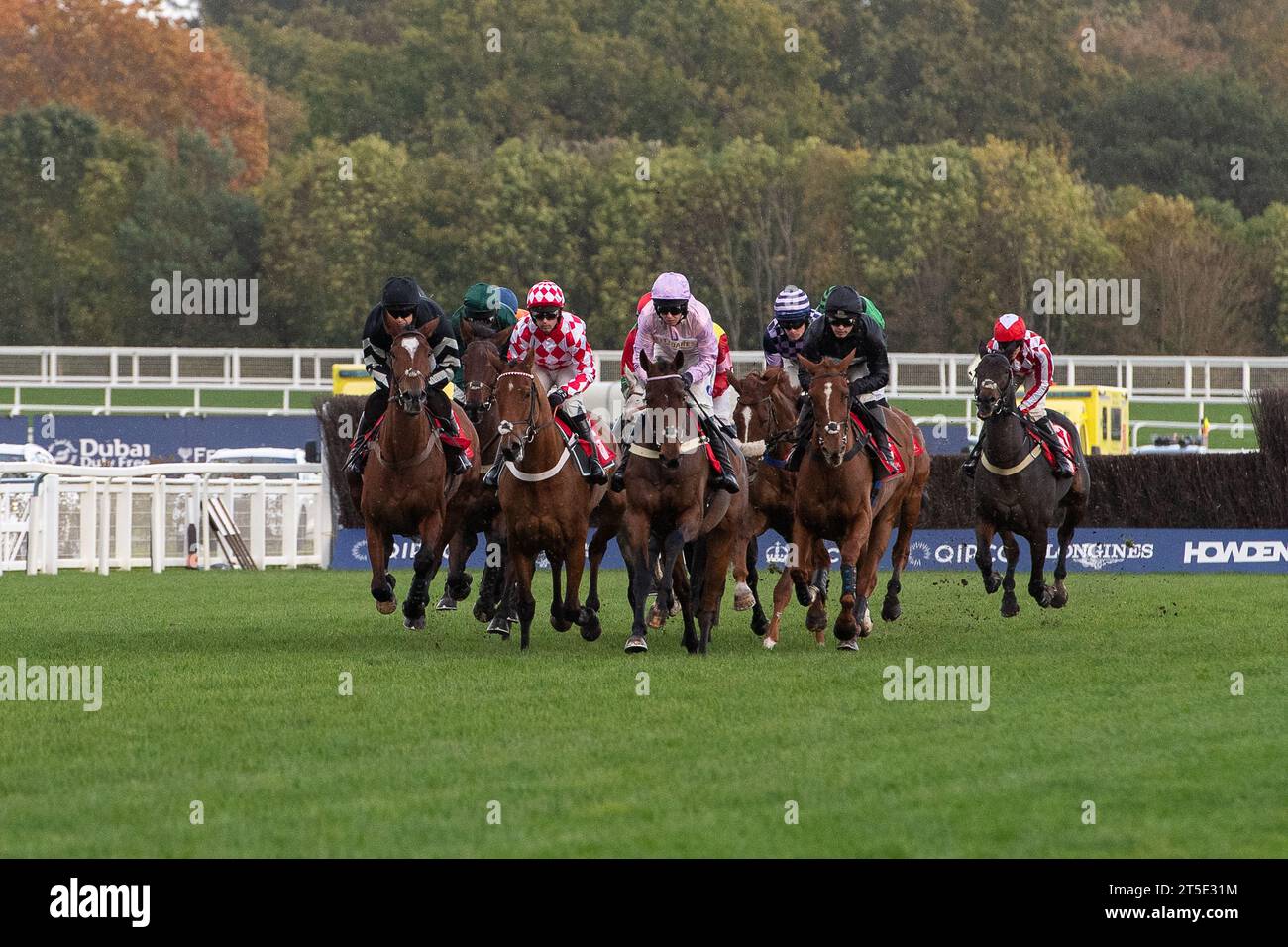 Ascot, Berkshire, Großbritannien. November 2023. Fahrer im Hürdenrennen der Hürdenrennen der GL-Events beim Fireworks Spectacular Family Raceday. Quelle: Maureen McLean/Alamy Live News Stockfoto