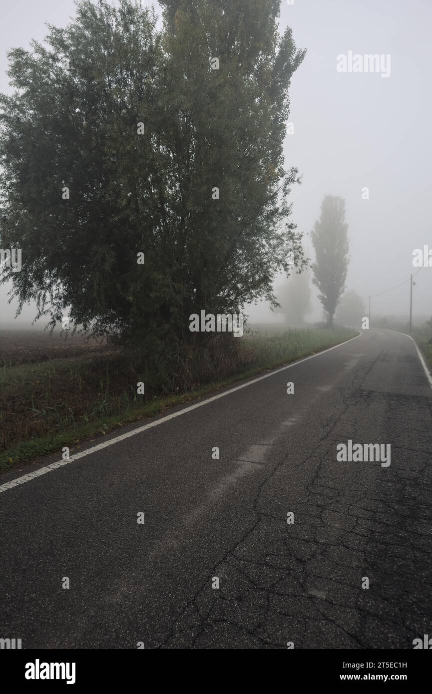 Enge Straße, die von ein paar Bäumen und Gräben mit Wehren an einem nebeligen Tag in der italienischen Landschaft begrenzt wird Stockfoto