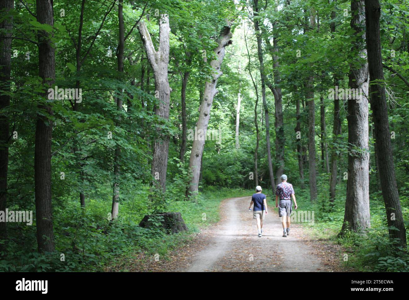 Ältere Ehepaare wandern auf dem des Plaines River Trail unter hohen Bäumen im Camp Ground Road Woods in des Plaines, Illinoi Stockfoto