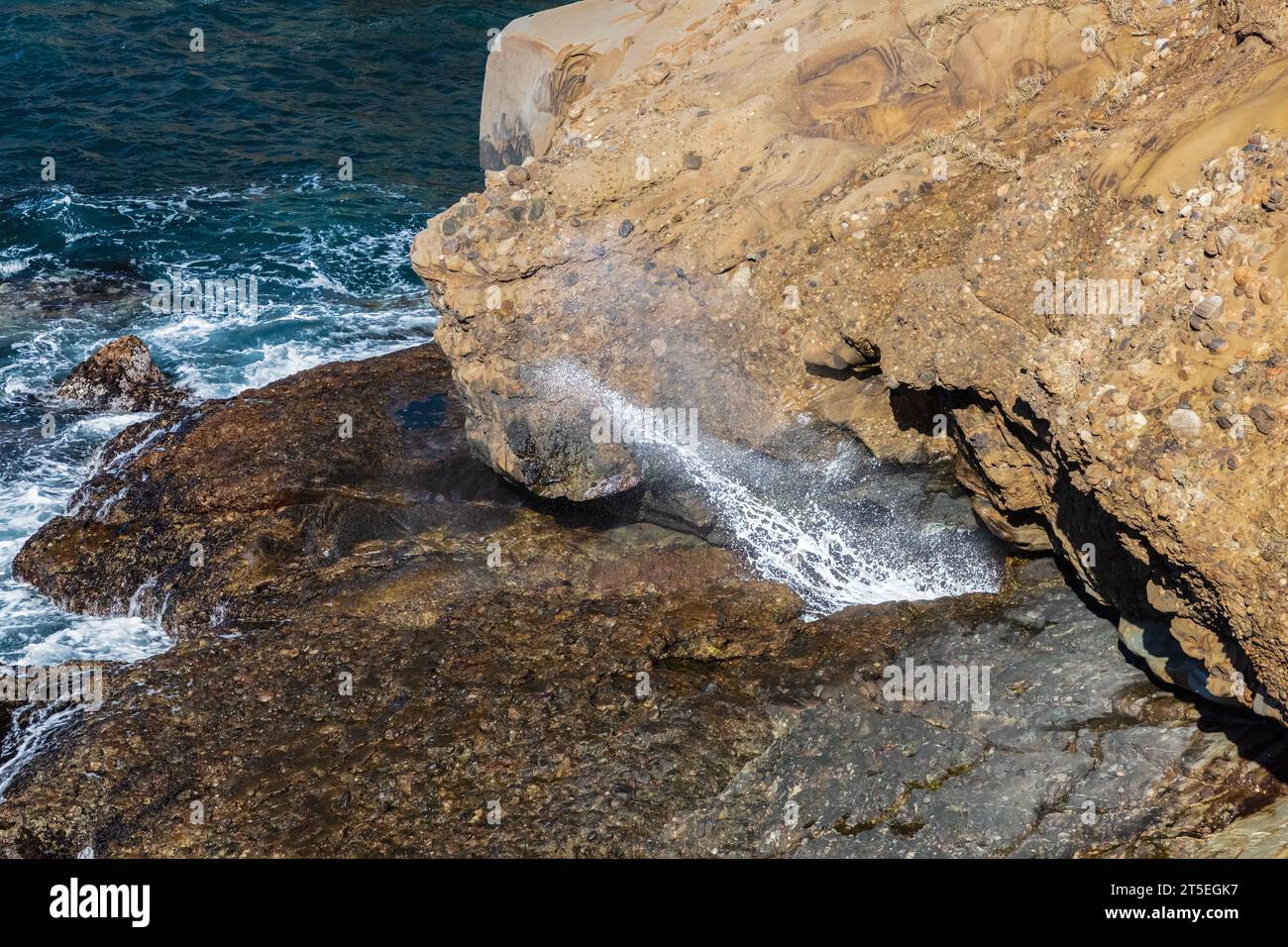 Blowhole an der kalifornischen Küste, im Point Lobos State Natural Reserve. Wasser sprudelt durch das Loch; Felsen und Meer sind sichtbar. Stockfoto