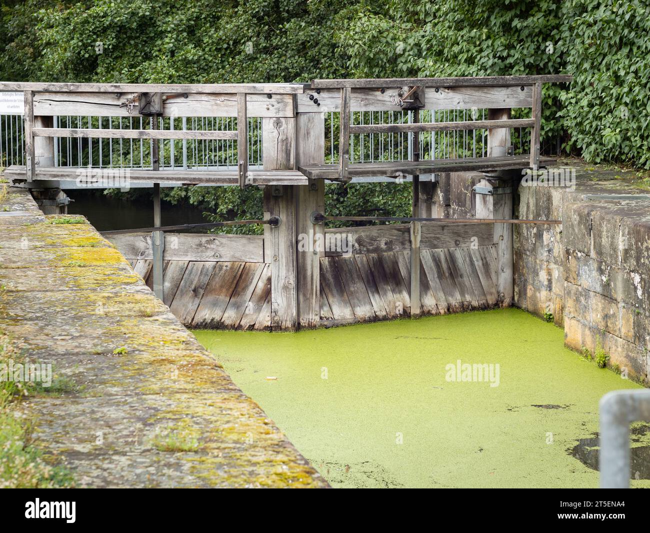 Altes Schleusentor mit großen Holzelementen. Das Wasser hat eine grüne Oberfläche aufgrund des Entlunkes, das auf dem stehenden Kanal wächst. Die antike Struktur ist solide. Stockfoto