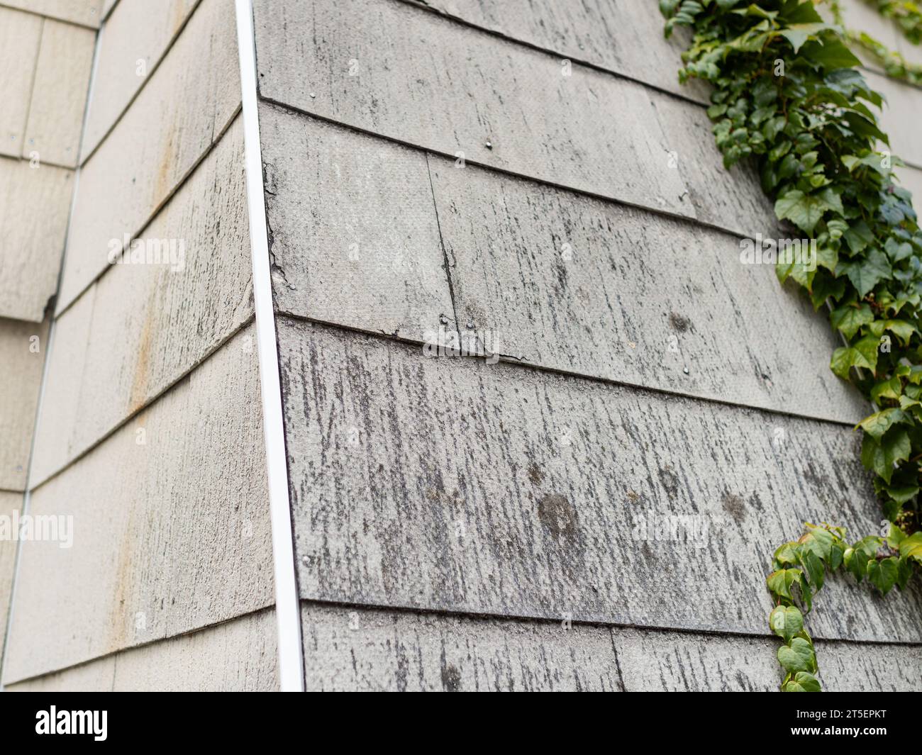 Beschädigte Asbestplatten an einer Gebäudefassade. Das Faserbaumaterial delaminiert und setzt giftige Fasern in die Umwelt frei. Stockfoto