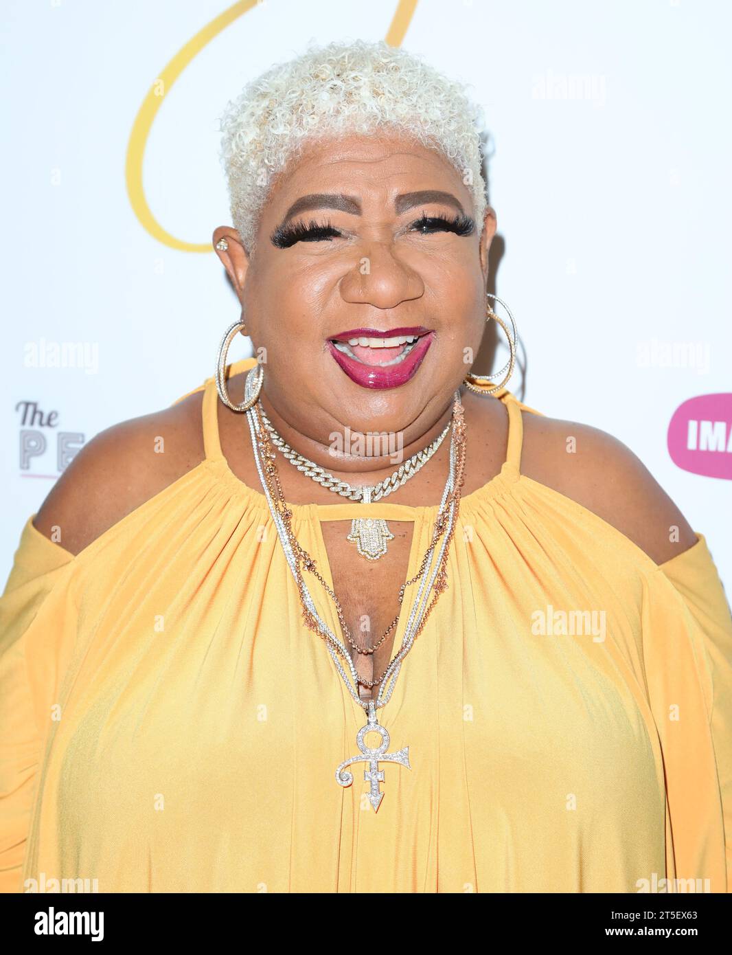 West Hollywood, USA. November 2023. Luenell trifft am Samstag, 4. November 2023, auf dem Imagine Ball 2023 im Peppermint Club in West Hollywood ein. (Foto: Juan Pablo Rico/SIPA USA) Credit: SIPA USA/Alamy Live News Stockfoto