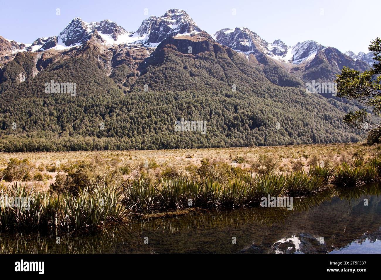 Herrlicher Blick auf schneebedeckte Gipfel, die sich im immer noch klaren Wasser der Mirror Lakes in Fiordland Neuseeland spiegeln. Stockfoto