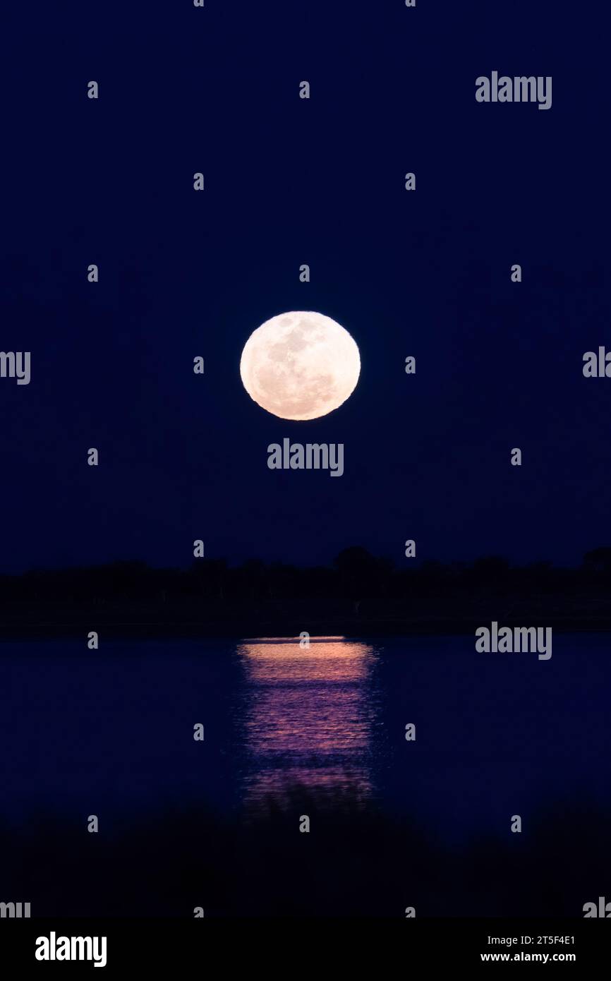 Ein Super Blue Moon, der im Wasser aufsteigt und reflektiert, Western Australia, Australien Stockfoto