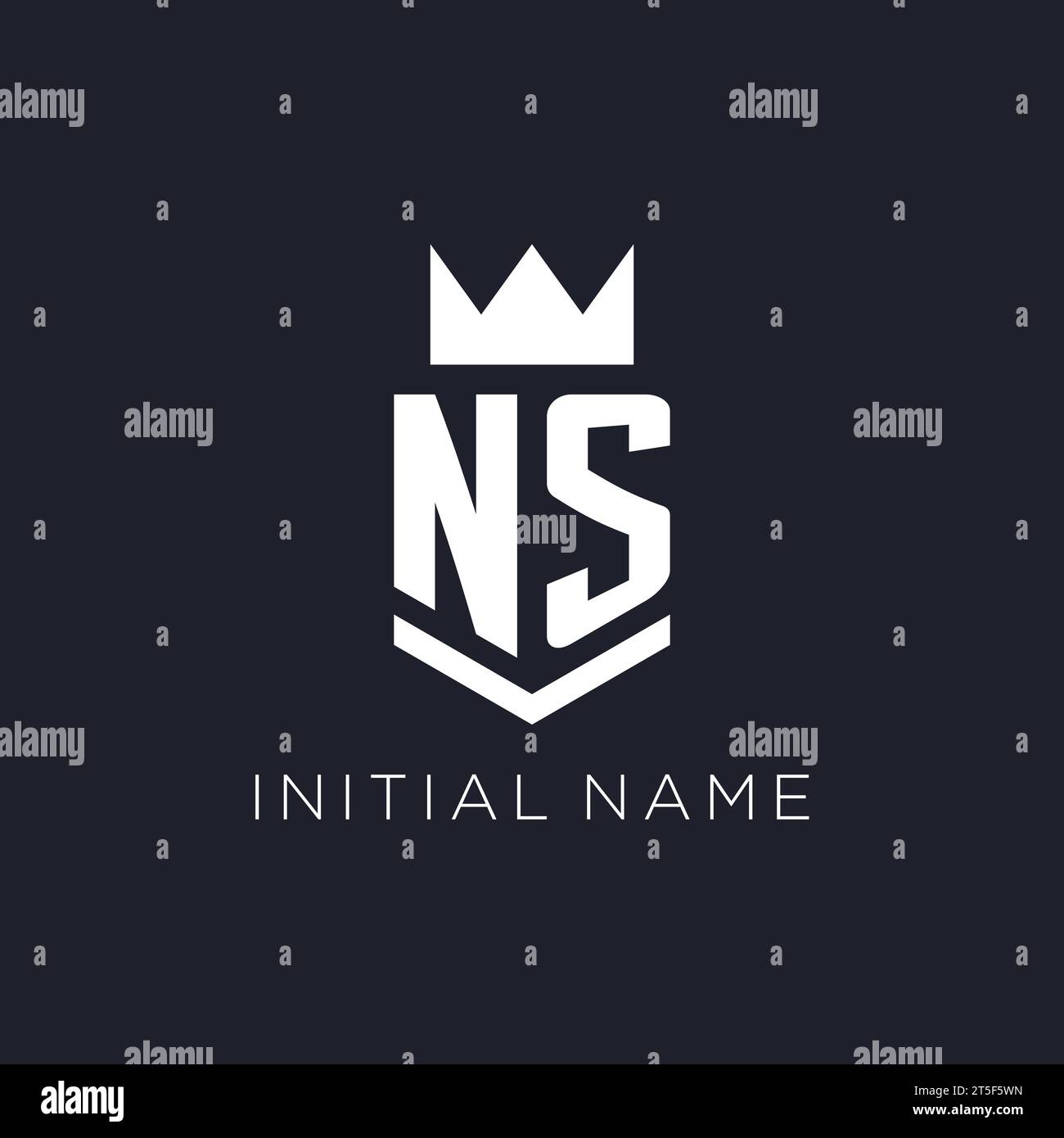 NS-Logo mit Schild und Krone, Initialideen für das Monogramm-Logo Stock Vektor