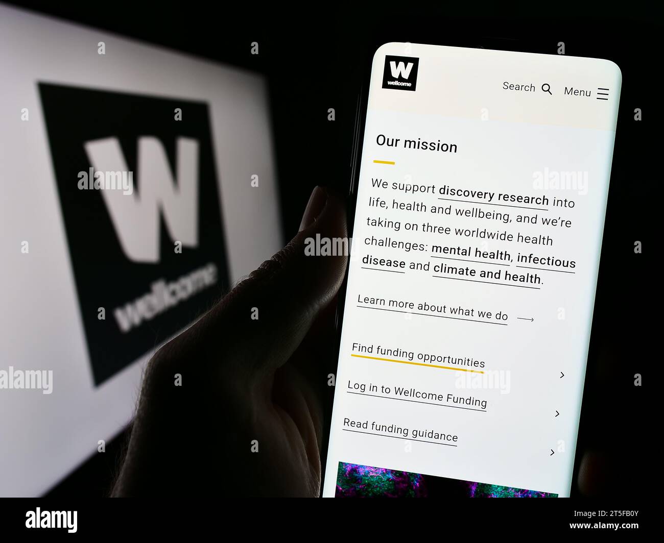 Person mit Handy und Website der britischen Wohltätigkeitsstiftung Wellcome Trust vor dem Logo. Konzentrieren Sie sich auf die Mitte des Telefondisplays. Stockfoto
