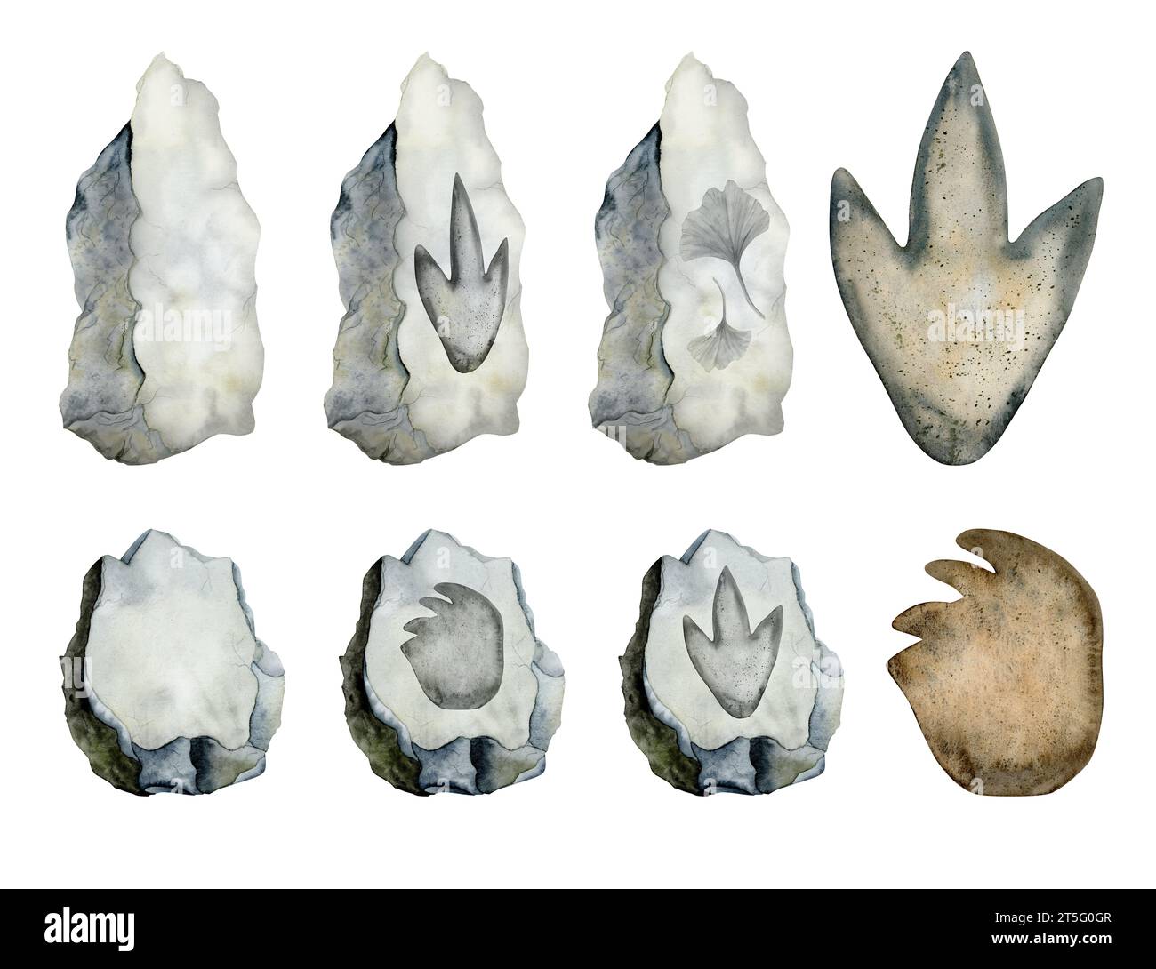 Dinosaurier-Fußabdrücke auf grauen Steinen Set von Aquarellillustrationen mit Pfoten von Diplodocus, Tyrannosaurus Fossil Stockfoto Dinosaurier-Fußabdrücke auf grauen Steinen Set von Aquarellillustrationen mit Pfoten von Diplodocus, Tyrannosaurus Fossil Stockfoto