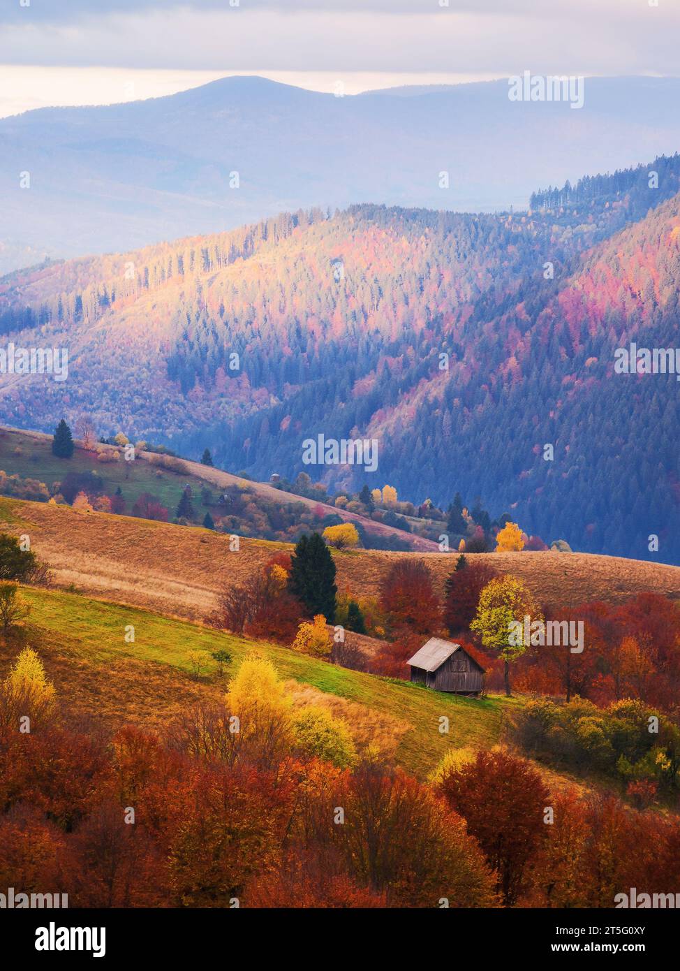 Abgelegene ländliche Gegend in den Bergen. Herbstliche Landschaft von transkarpaten, ukraine am Morgen erleuchtet Stockfoto