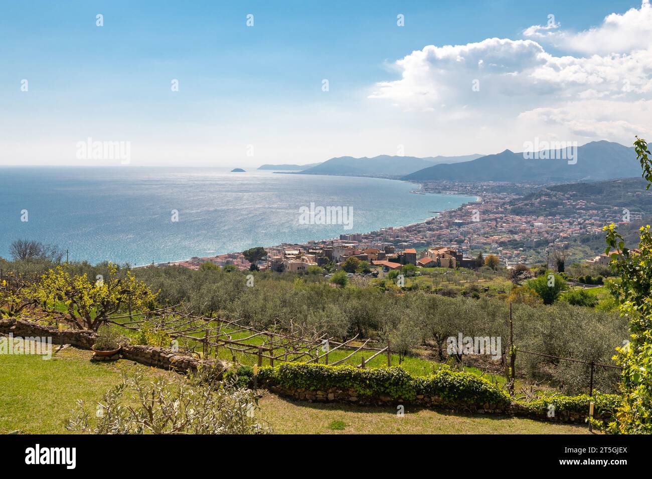 Erhöhter Blick auf die PalmenRiviera von einem Terrassenfeld mit den Küstenstädten Pietra Ligure, Loano und der Gallinara Insel, Savona, Ligurien Stockfoto